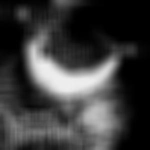 Black Menthol - Worms of the Flesh Kingdom