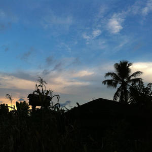 Timilai Dekhe Pachhi (feat. Suraj Thapa & Meena Niraula)