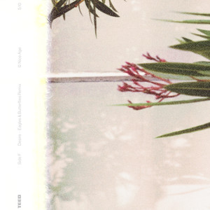 Desire (Eagles & Butterflies Remix)