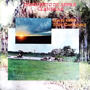 Alcaravan Compañero