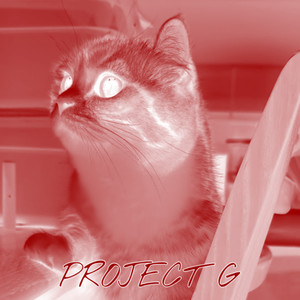 Project G (Explicit)