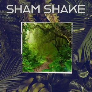 (H.A.B 9) "SHAM SHAKE"