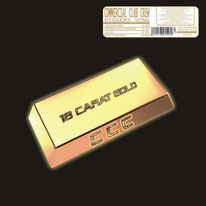 Diggers Song (Mysterio vs Steve Twain Remix)