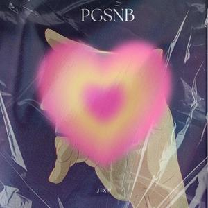 PGSNB