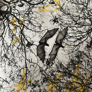 T extraño (feat. Pockyyunk) (Explicit)