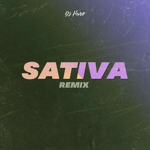 Sativa - Remix