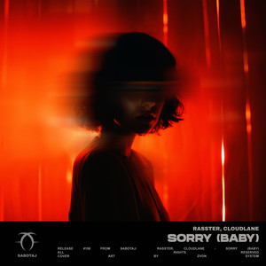 Sorry (Baby)