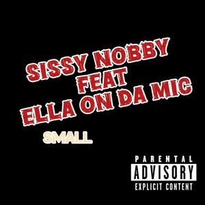 small (feat. EllaOnDaMIC) (Explicit)