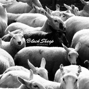 Black Sheep(S.E.X.)