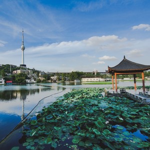 莲花湖公园的午休 (Demo)