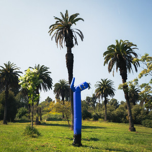 tell you straight (Ely Oaks’ version)