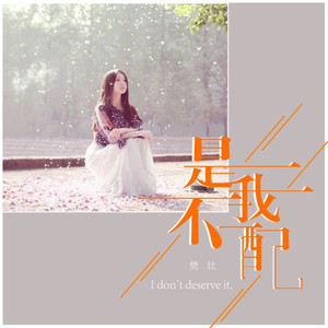 是我不配