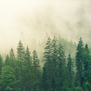 City Of Stars-七水Lena