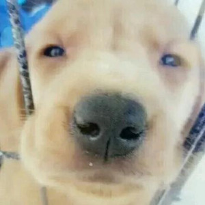 你的眼神 失落孤独