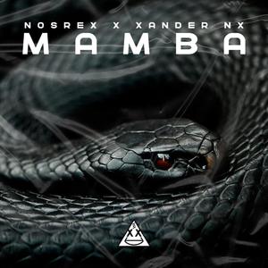 Mamba (feat. Xander NX) [Explicit]