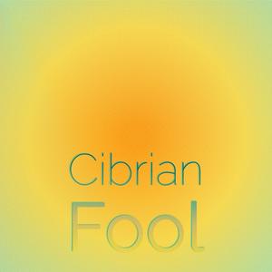 Cibrian Fool