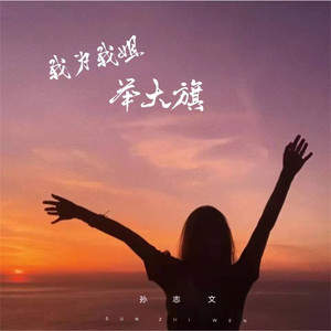 我为我姐举大旗 (DJ版)