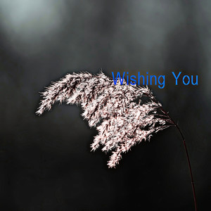 Wishing You