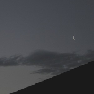 别来打扰我Remix