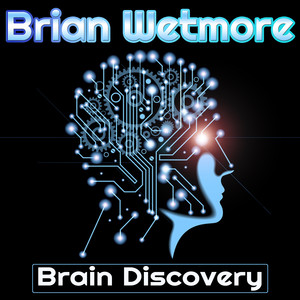 Brain Discovery