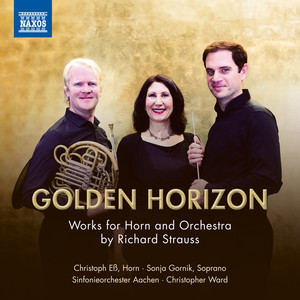 Horn Concerto No. 1 in E Flat Major, Op. 11 - Horn Concerto No. 1 in E Flat Major, Op. 11: II. Andante (Live)