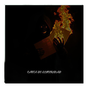 CARTA DE SINCERIDAD (Explicit)