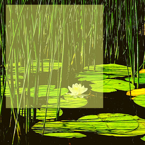 Bookworm From Seattle