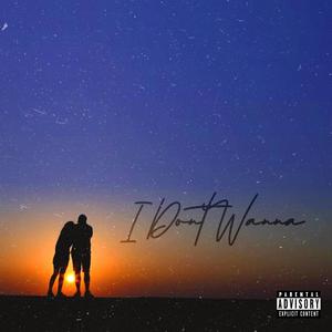 I Dont Wanna(feat. Qwiss & Ink Loud) (Explicit)