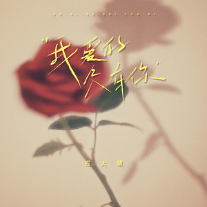 我爱的只有你