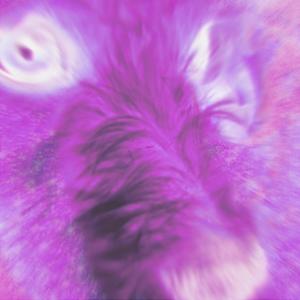 Wnter!(スノーバニー) (Explicit)