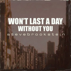 I Won't Last A Day Without You