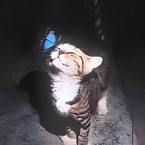 Besser als der Rest (feat. juwu) (Explicit)