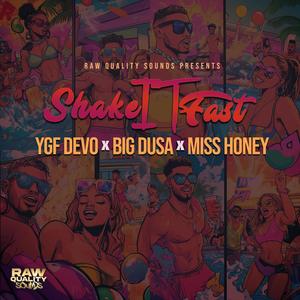 Shake It Fast (Radio Edit)