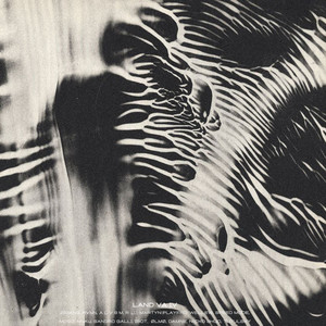A prediction of Chaos (Original Mix)