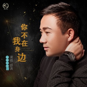 你不在我身边 (2020版)