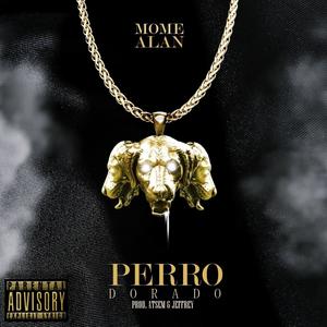 PERRO DORADO (feat. Mome) [Explicit]