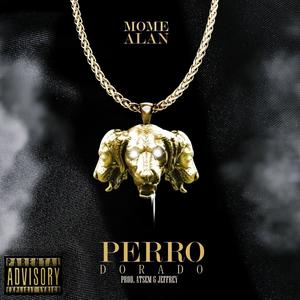 PERRO DORADO (feat. Mome) (Explicit)