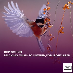 Relaxing Music to Unwind, for Night Sleep