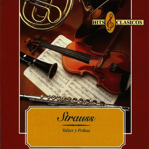 Tritsch-Tratsch-Polka, Op. 214 (闲聊快速波尔卡,作品214)