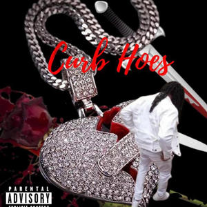 Curb Hoes (feat. Taee Swervo) [Explicit]