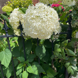 Fragile/Make-up/Goodbye