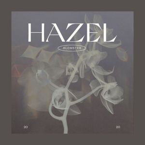 Hazel (Explicit)