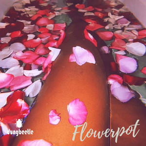 Tulips (Flowerpot Mix)