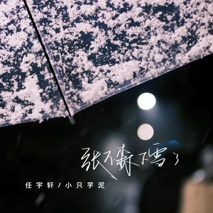 张万森下雪了
