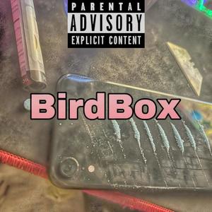 Bird Box (Explicit)