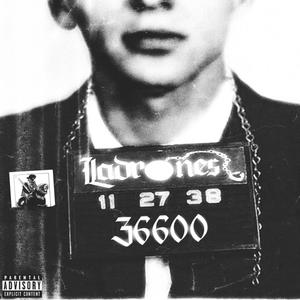 gravedad(feat. PadinX & Lustrees) (Explicit)