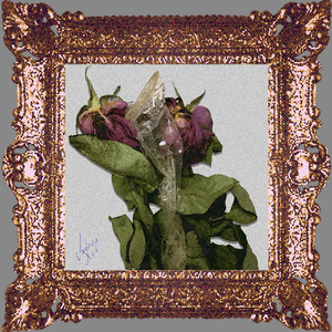 50 оттенков серого (Inst.)