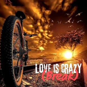 LOVE is CRAZY