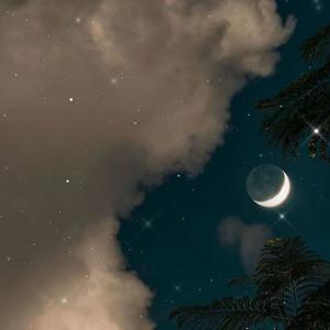 低情商的傻女人才会说的秘密