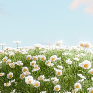 打火机·八音盒